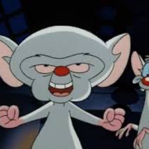 Meet your Posher, Samara